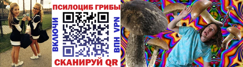 наркошоп  Новопавловск  mega ссылка  Псилоцибиновые грибы Magic Shrooms 